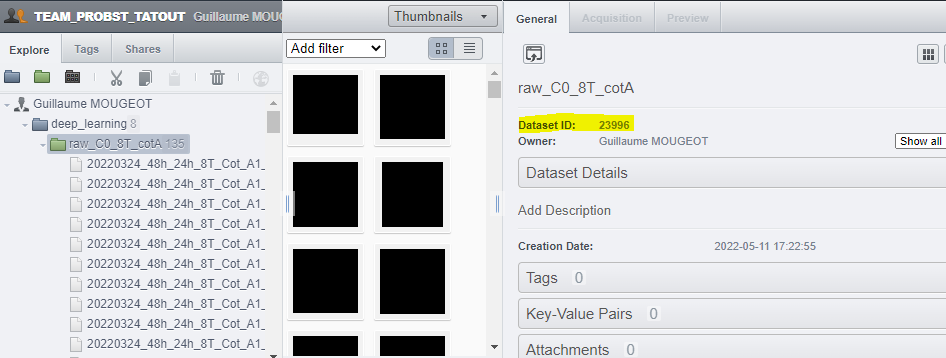 Screenshot of where to find dataset ID in OMERO webclient